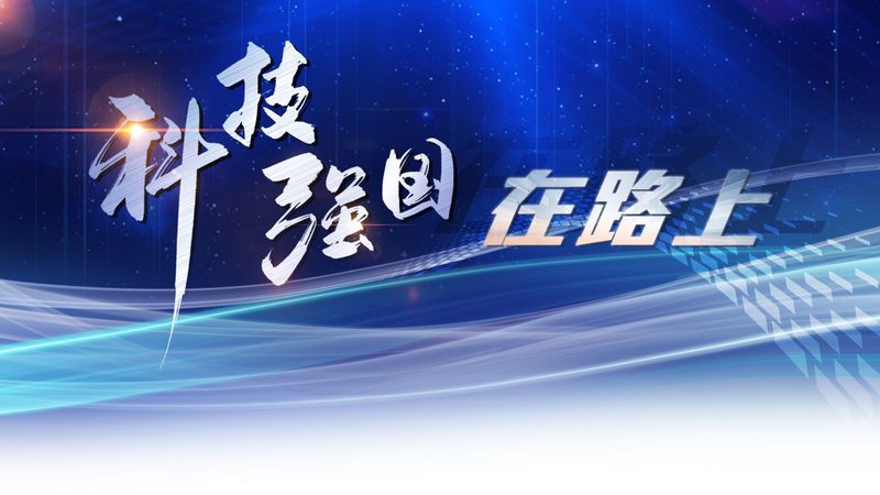网络安全审计系统：揭秘十大品牌背后的技术实力与市场布局